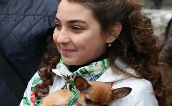 Девочке из Доброполья в Севастополе подарили собаку от Путина