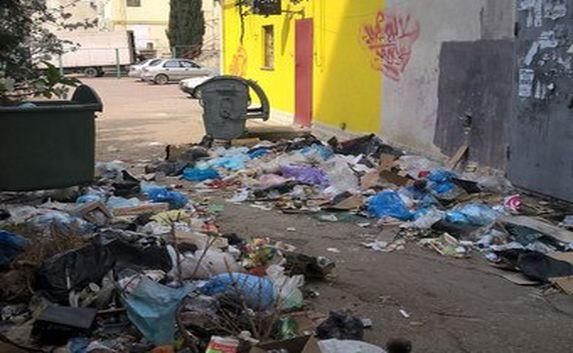 Задние дворы домов на ПОР погрязли в мусоре