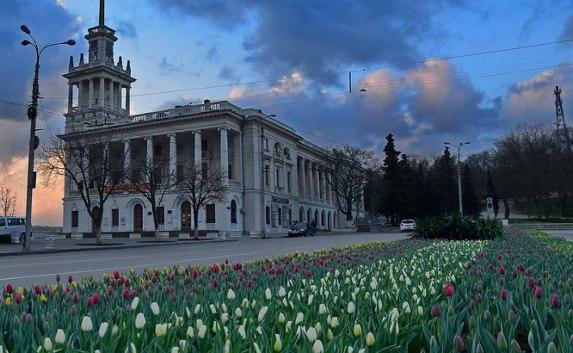 Тюльпаны заполнили клумбы на площади Ушакова — фотофакт