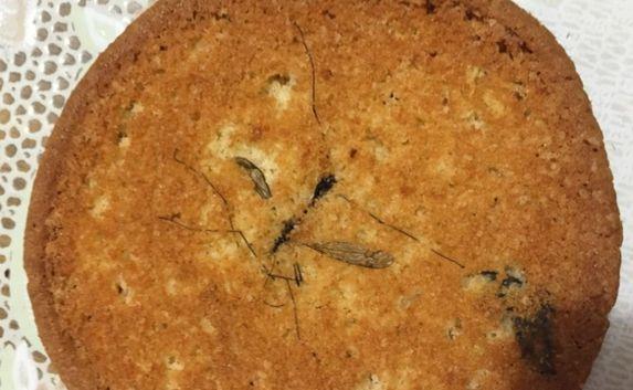 Печенье с комарами продают в Севастополе — фотофакт