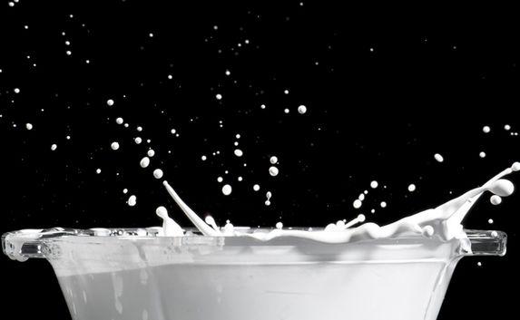 Молочные продукты в России изготовлены из гипса, извести и мела