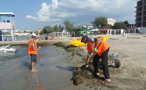 Севастопольцы довольны: Пляж «Омега» приводят в порядок