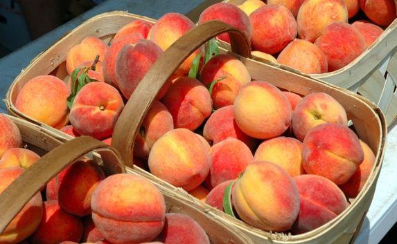 Двое севастопольцев могут получить срок до пяти лет за кражу персиков