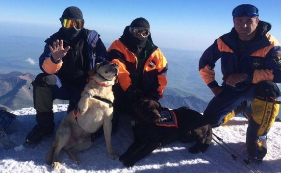 Спасатели МЧС РФ поднялись на Эльбрус со служебными собаками 