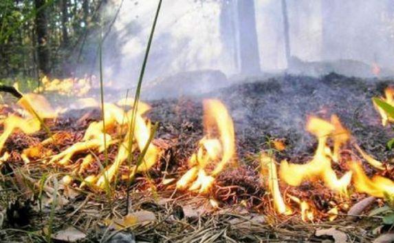Ликвидировано возгорание в лесной зоне в районе хребта Пароход