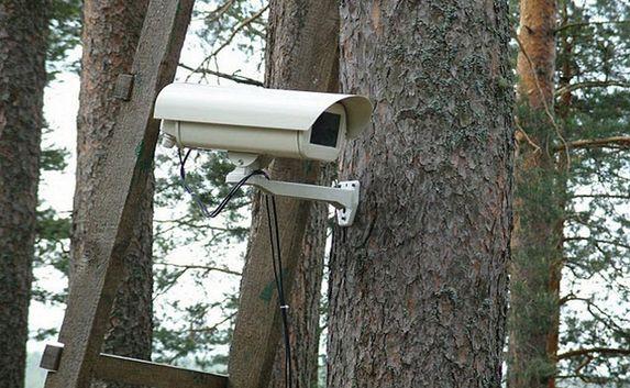 В горно-лесной местности Ялтинского региона установят видеокамеры