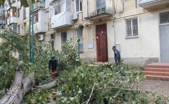 В Крыму дерево рухнуло на жилой дом и повредило газовую трубу