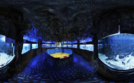 Дети смогут 1 сентября бесплатно побывать в крымском аквариуме 