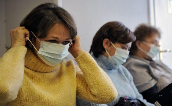 Новые вирусы свиного гриппа ожидаются в Крыму