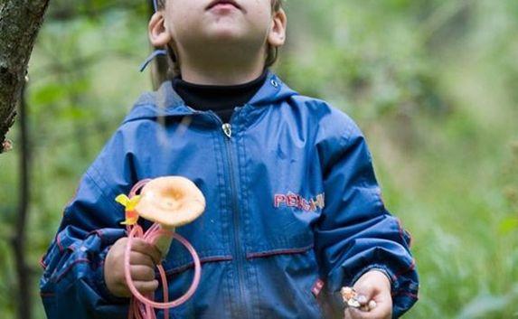 Спасатели искали четырёхлетнего грибника в горах Крыма