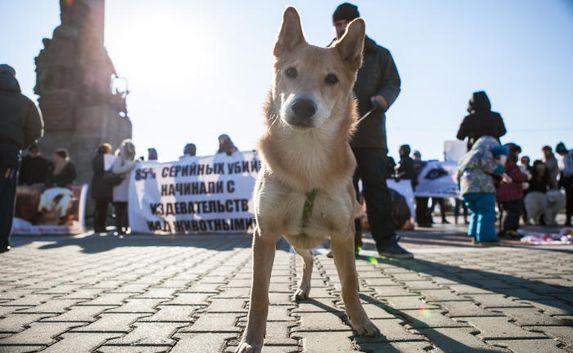 Жители Севастополя вышли на митинг против издевательств над животными