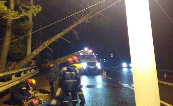 ​В крымских горах на троллейбусную линию упало дерево