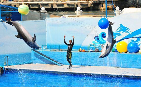 Севастопольский дельфинарий борется «за жизнь»