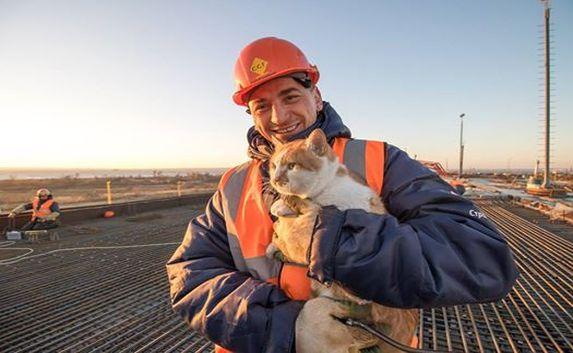 «Обними кота перед сменой» — акция для строителей Крымского моста