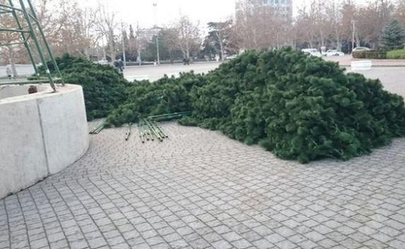 Установка новогодней ёлки началась в Севастополе (онлайн)
