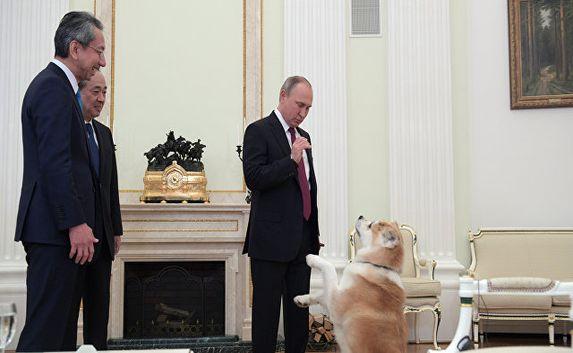 На встречу с японскими журналистами Путин пришёл со своей собакой