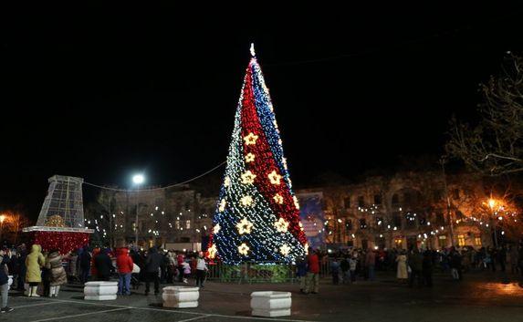 В Севастополе открыли главную новогоднюю ёлку 