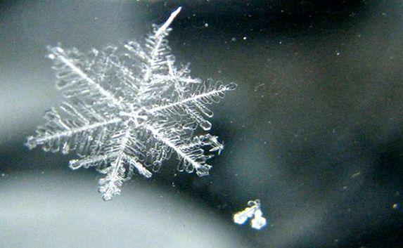 Природа «дарит» крымчанам зимнюю погоду: прогноз на 31 декабря