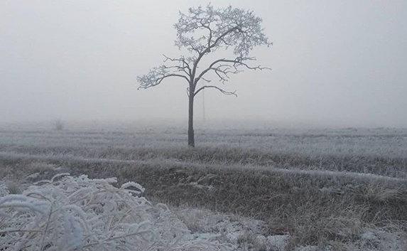 В первый день нового года в Крыму тепло, местами туман и гололёд