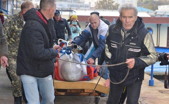 Отдельных жителей дельфинария Севастополя могут продать в Сочи