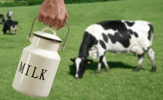 Производство говядины, молока и масла в Крыму резко сократилось