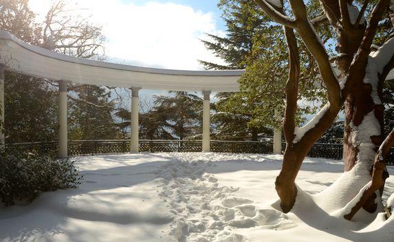 «Снежная сказка» в Никитском ботаническом саду — фото
