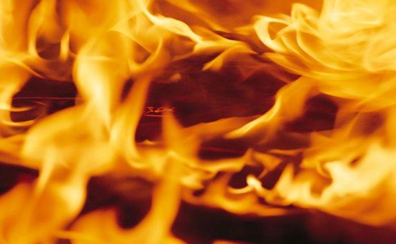 Сотрудники МЧС спасли мужчину на пожаре в дачном доме