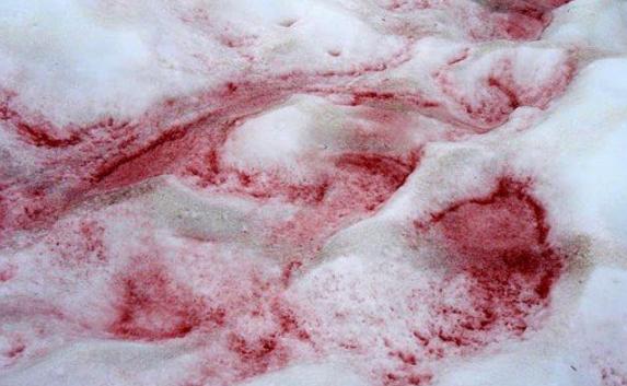 Красный снег выпал в одном из регионов России