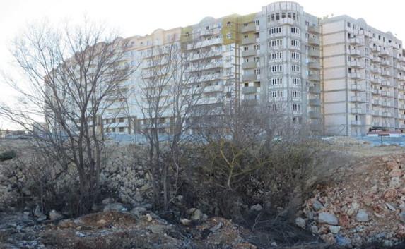 В Севастополе застройщик уничтожает 500-летнюю реликтовую рощу — фото