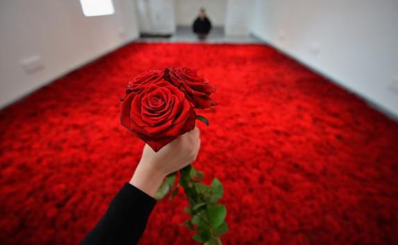 Заксобрание Севастополя закупает «миллион алых роз» за счёт бюджета