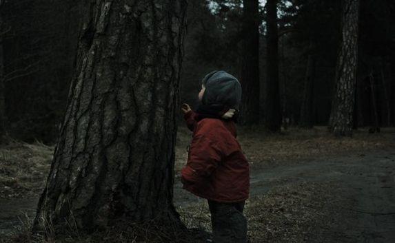 Трёхлетний малыш заблудился в лесу — ребёнок получил переохлаждение