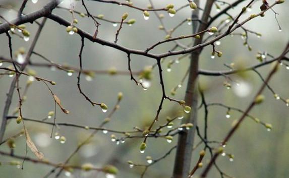 Погода в Крыму 10 марта: до +18, небольшой дождик