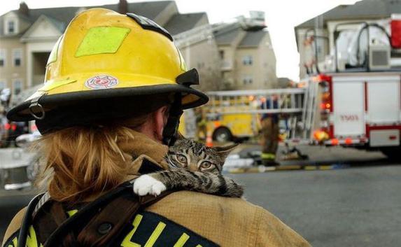 В Феодосии огнеборцы спасли женщину и кота 