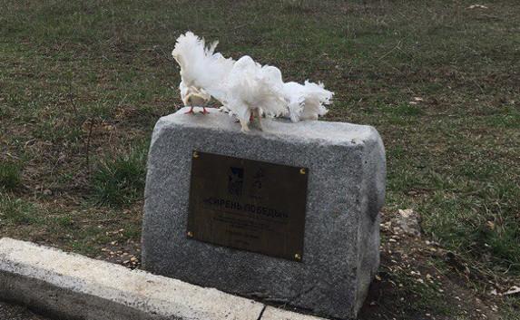 Севастопольцам на Сапун-горе досаждают «голубятники» — фото