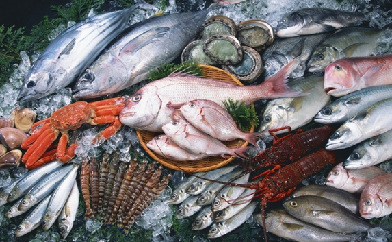 В Севастополе хотят возродить «тюлькин флот» и рыбные рынки