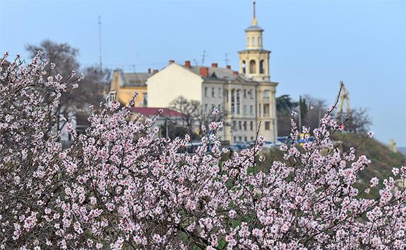 Куда пойти на выходных 1 и 2 апреля в Севастополе — афиша мероприятий