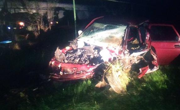 В Крыму ночью разбилась «легковушка» — водитель погиб  (фото)