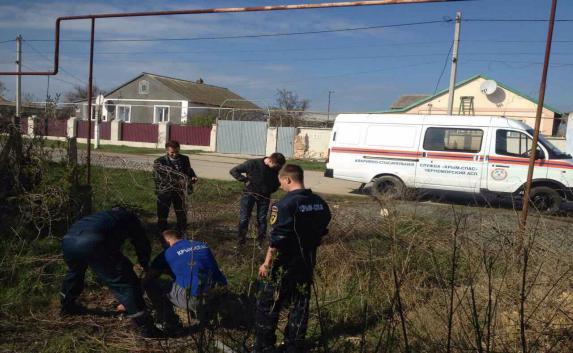 Спасатели в Крыму вытащили из ямы ослика (фото)
