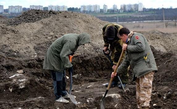 Захоронение скифских воинов обнаружили в Крыму (фото)