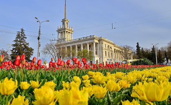 Погода в Крыму и Севастополе 16 апреля: до + 20, солнечно