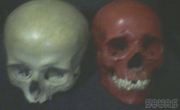 В Севастополе черепа погибших воинов продавали на «барахолке» (фото, видео)