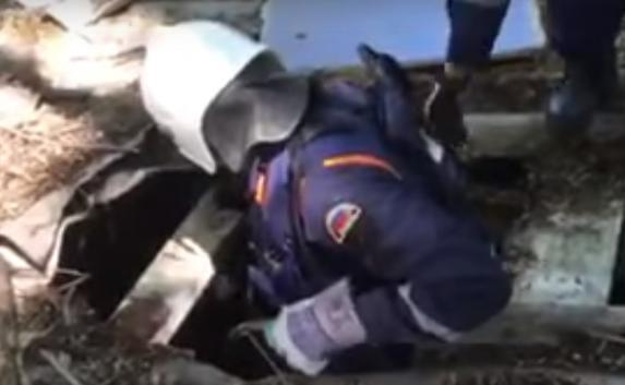 В Севастополе спасатели вызволили собаку, просидевшую в яме восемь дней (видео)