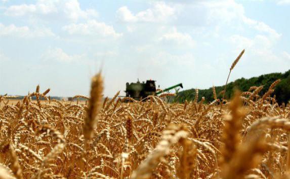 В Крыму намолотили первый миллион зерна