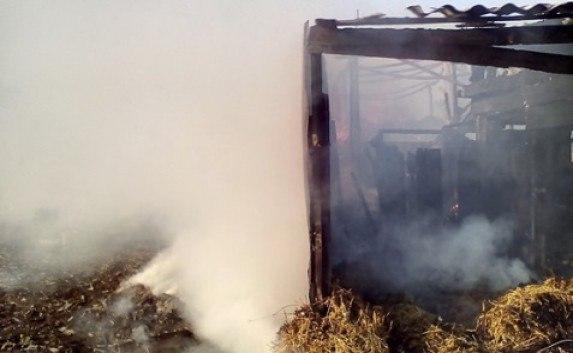 7 тонн зерна и хозпостройки были уничтожены большим пожаром в Крыму (фото)