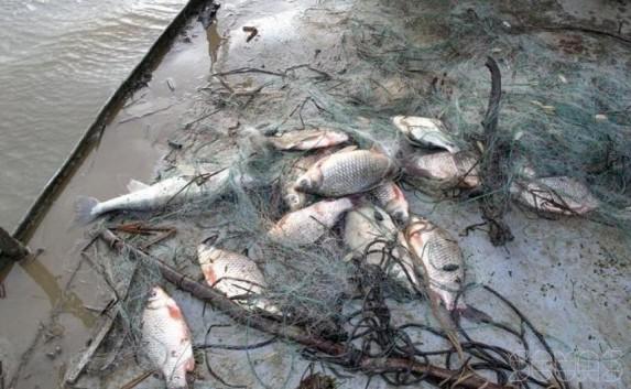 За полгода пограничники предотвратили ущерб от вылова рыбы на два миллиона рублей