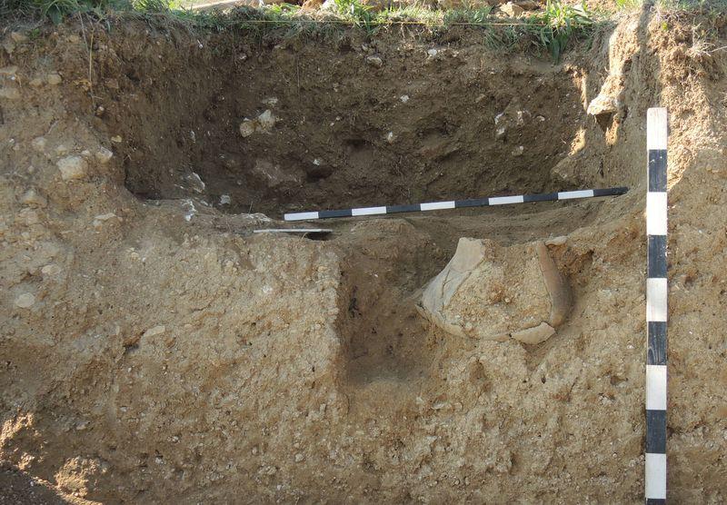 Античные погребальные урны и амфоры нашли археологи из «Херсонеса»