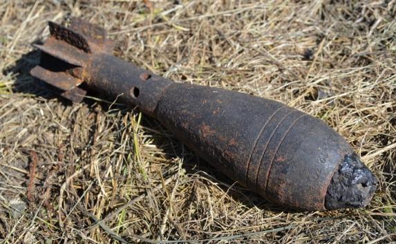 Крымчанин получил условный срок за хранение мины времён ВОВ