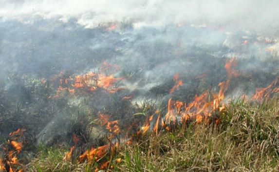 МЧС Крыма 2 августа зафиксировало рекорд по возгораниям