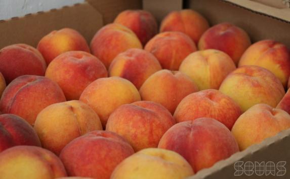 Севастопольскому детскому приюту подарили 30 килограмм персиков