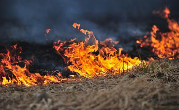 В Крыму за выходные потушили 48 возгораний травы